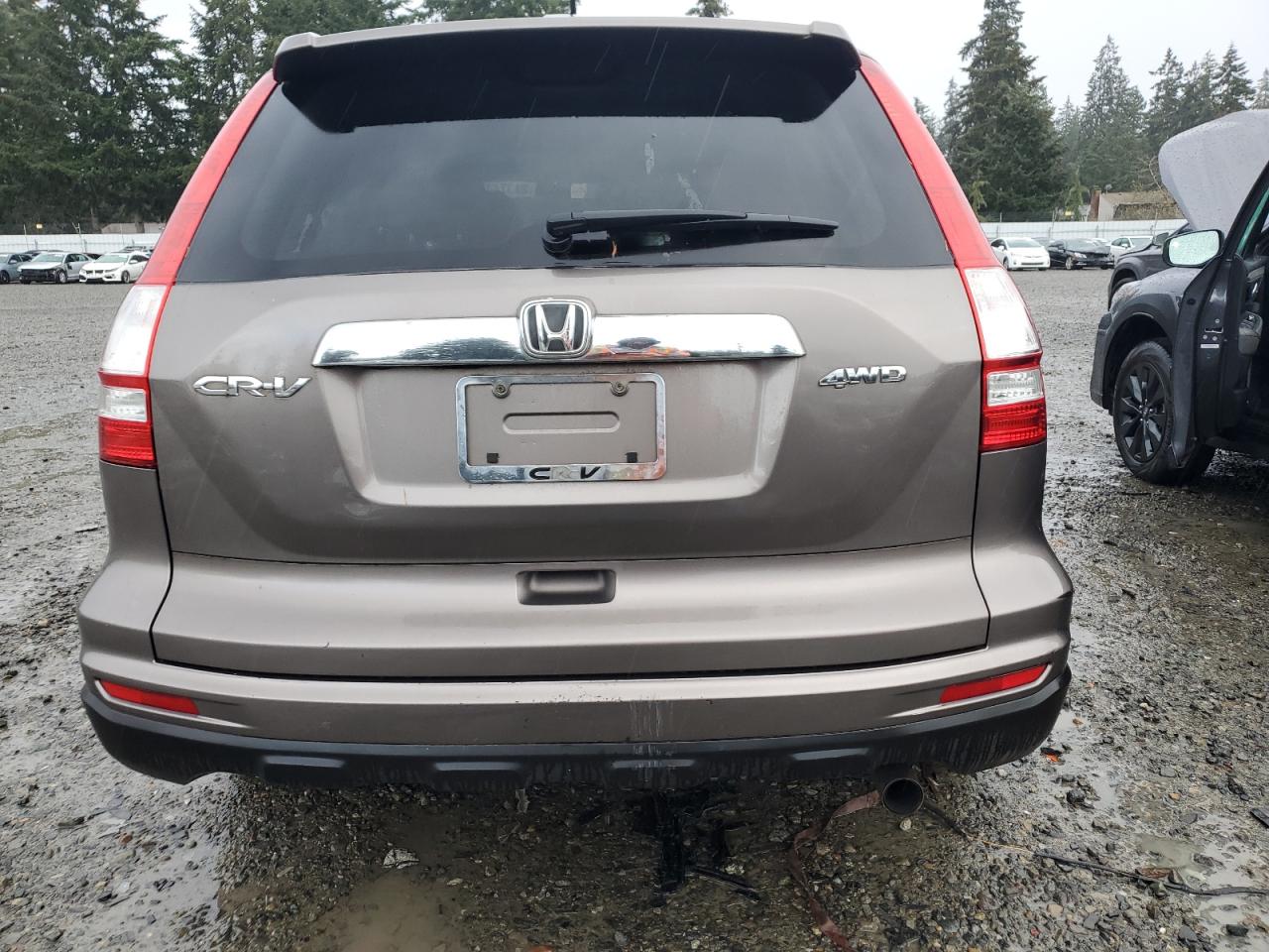 2010 Honda Cr-V Exl VIN: 5J6RE4H74AL048838 Lot: 81374374