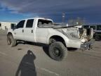 2013 Ford F250 Super Duty للبيع في Anthony، TX - Rear End