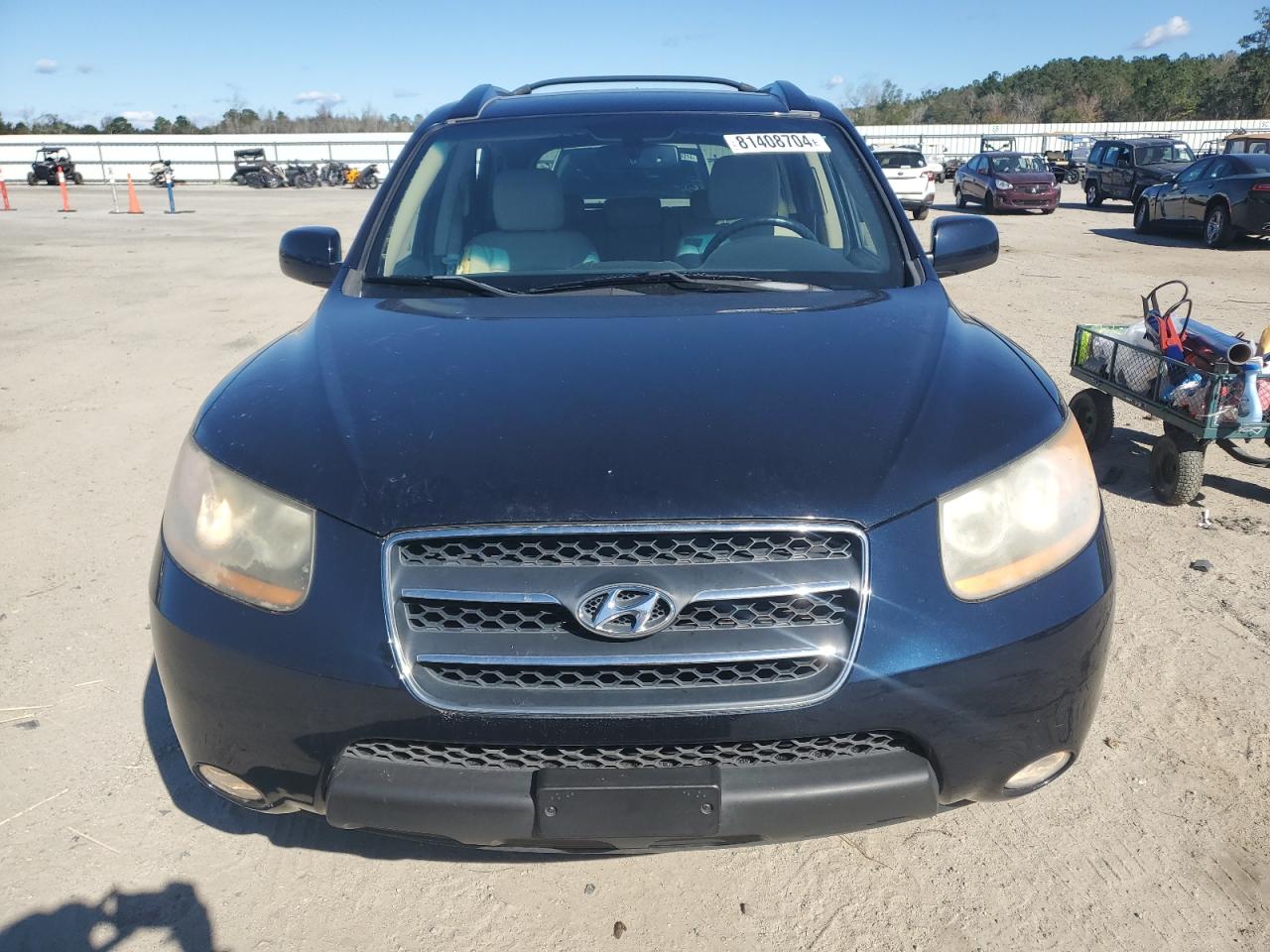 2008 Hyundai Santa Fe Se VIN: 5NMSH13E58H182952 Lot: 81408704