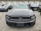 2013 Ford Mustang  for Sale in Louisville, KY - Front End