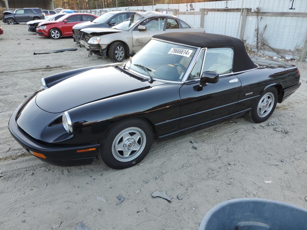 1991 Alfa Romeo Spider - Image 1