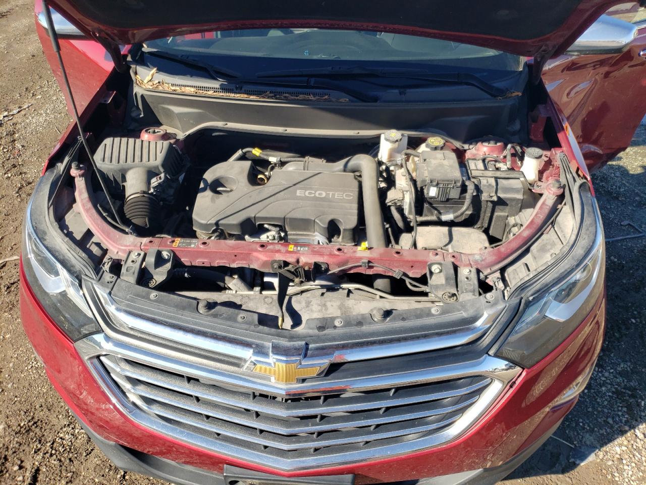 2019 Chevrolet Equinox Premier VIN: 2GNAXNEV9K6269696 Lot: 81571314