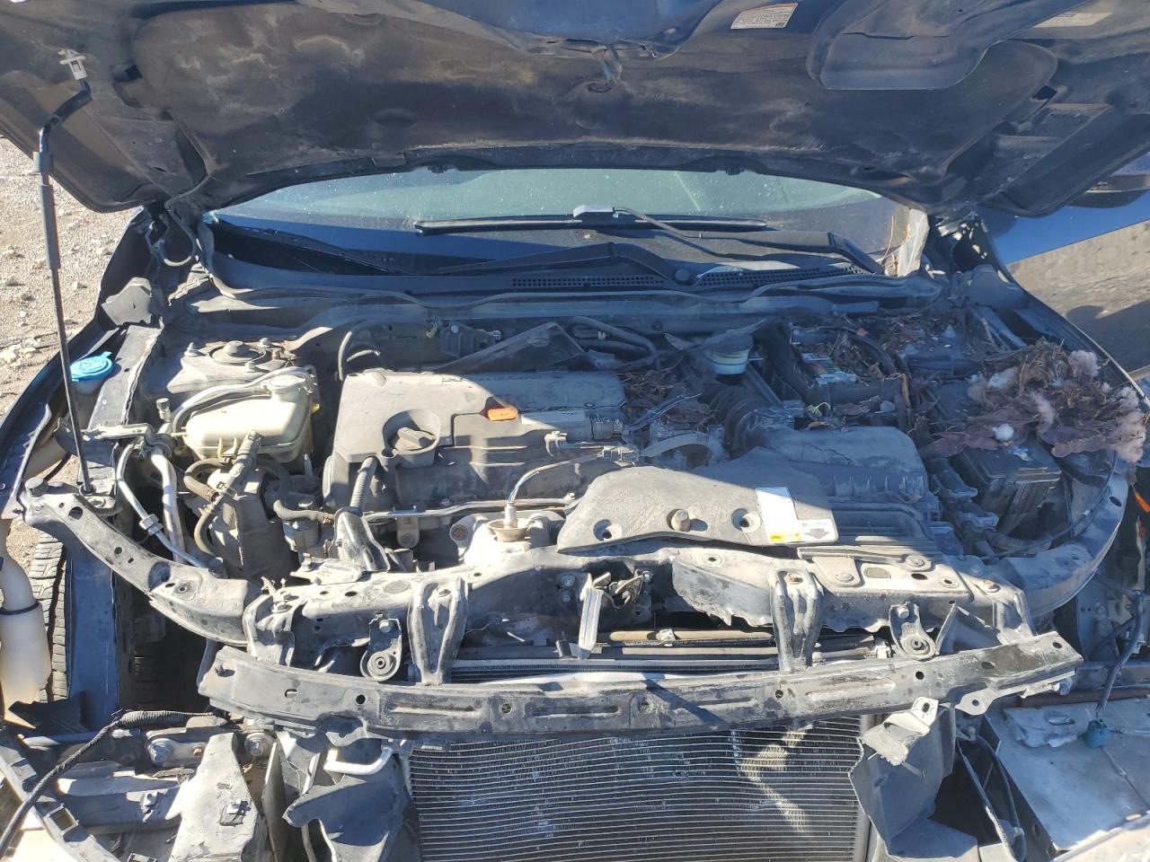 2016 Honda Civic Lx VIN: 19XFC2F58GE013340 Lot: 81075464