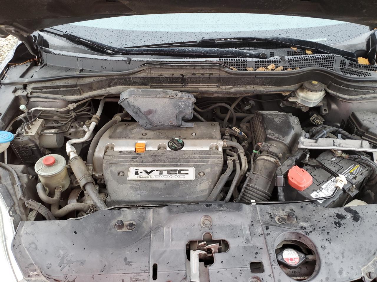 2009 Honda Cr-V Lx VIN: 5J6RE48389L023448 Lot: 82884844