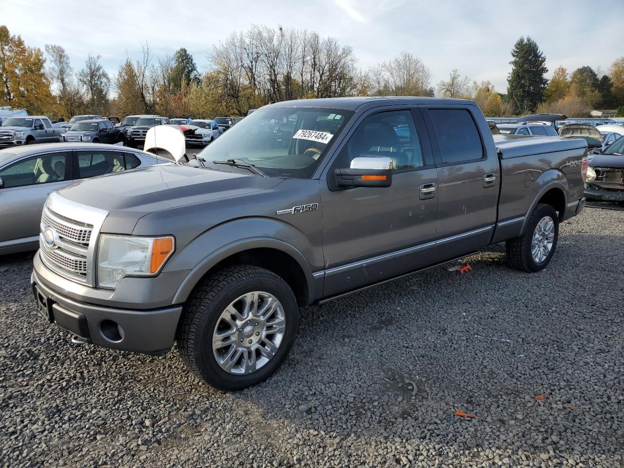2009 Ford F-150 - Image 1