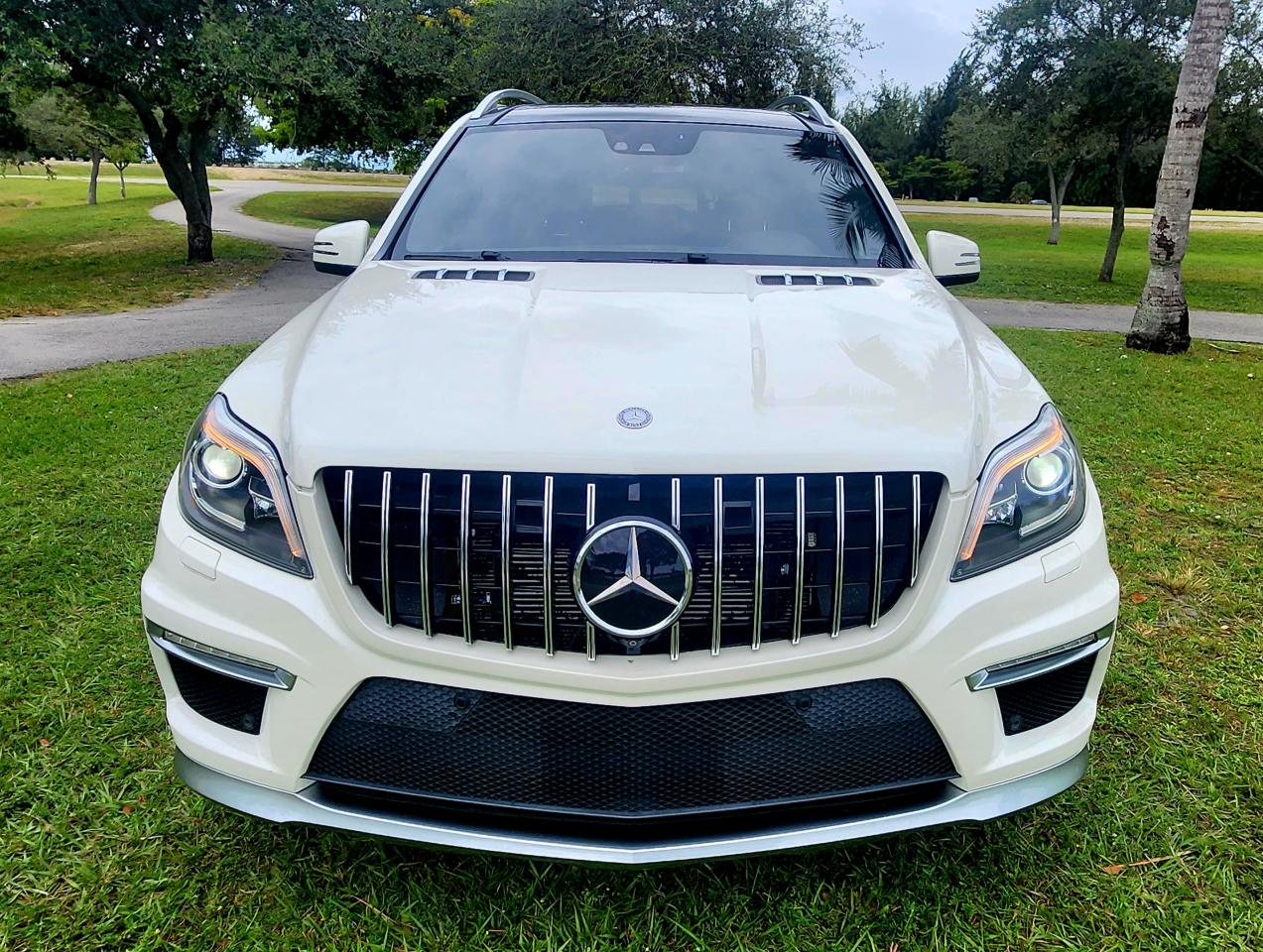 2014 Mercedes-Benz Gl 63 Amg VIN: 4JGDF7EE0EA411733 Lot: 82057334