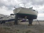 1977 Sail Boat Boat for Sale in Riverview, FL - Water/Flood