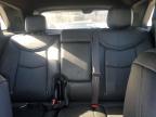 2020 Cadillac Xt5 Premium Luxury for Sale in Glassboro, NJ - Minor Dent/Scratches