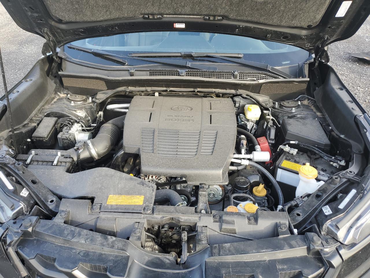 2024 Subaru Forester Wilderness VIN: JF2SKEHC3RH425064 Lot: 81053134