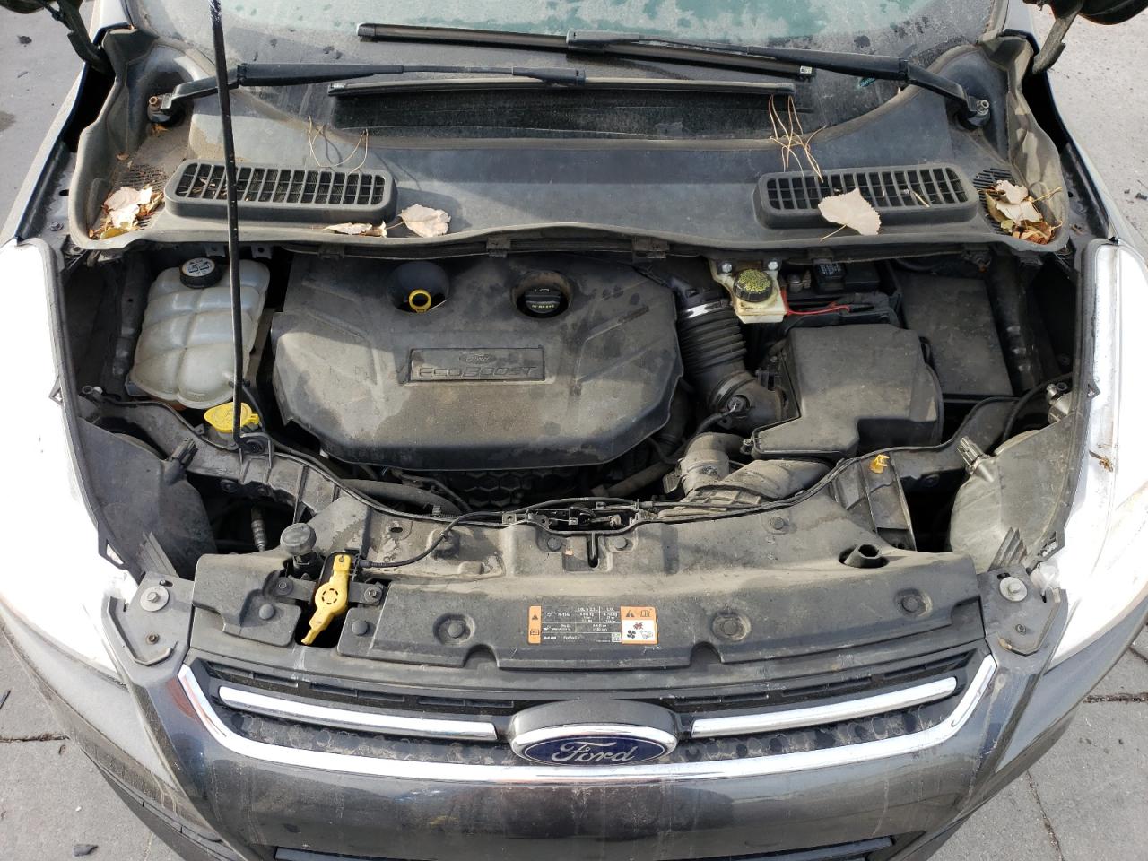 2015 Ford Escape - Image 12