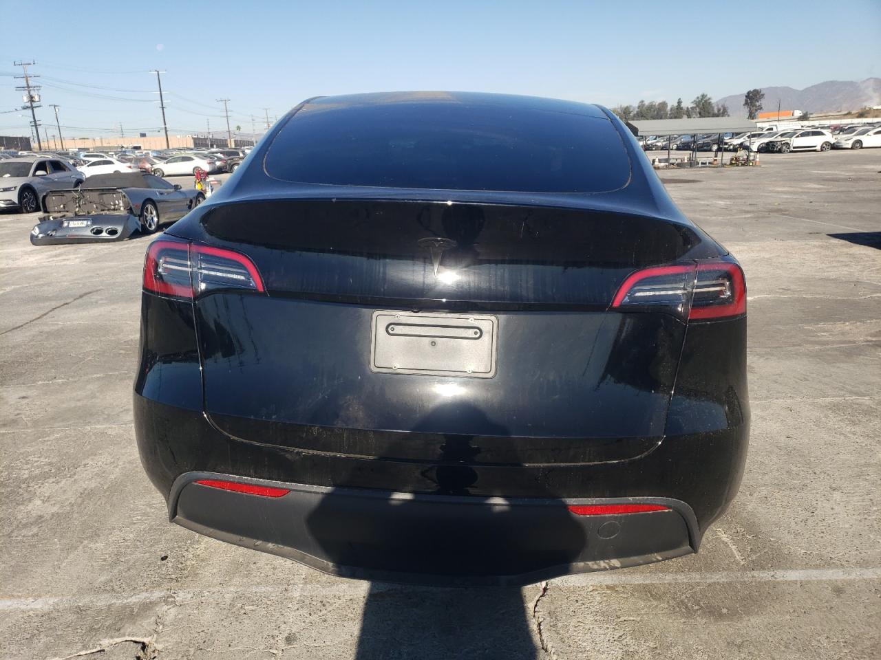 2023 Tesla Model Y VIN: 7SAYGDEE4PA097077 Lot: 81218764