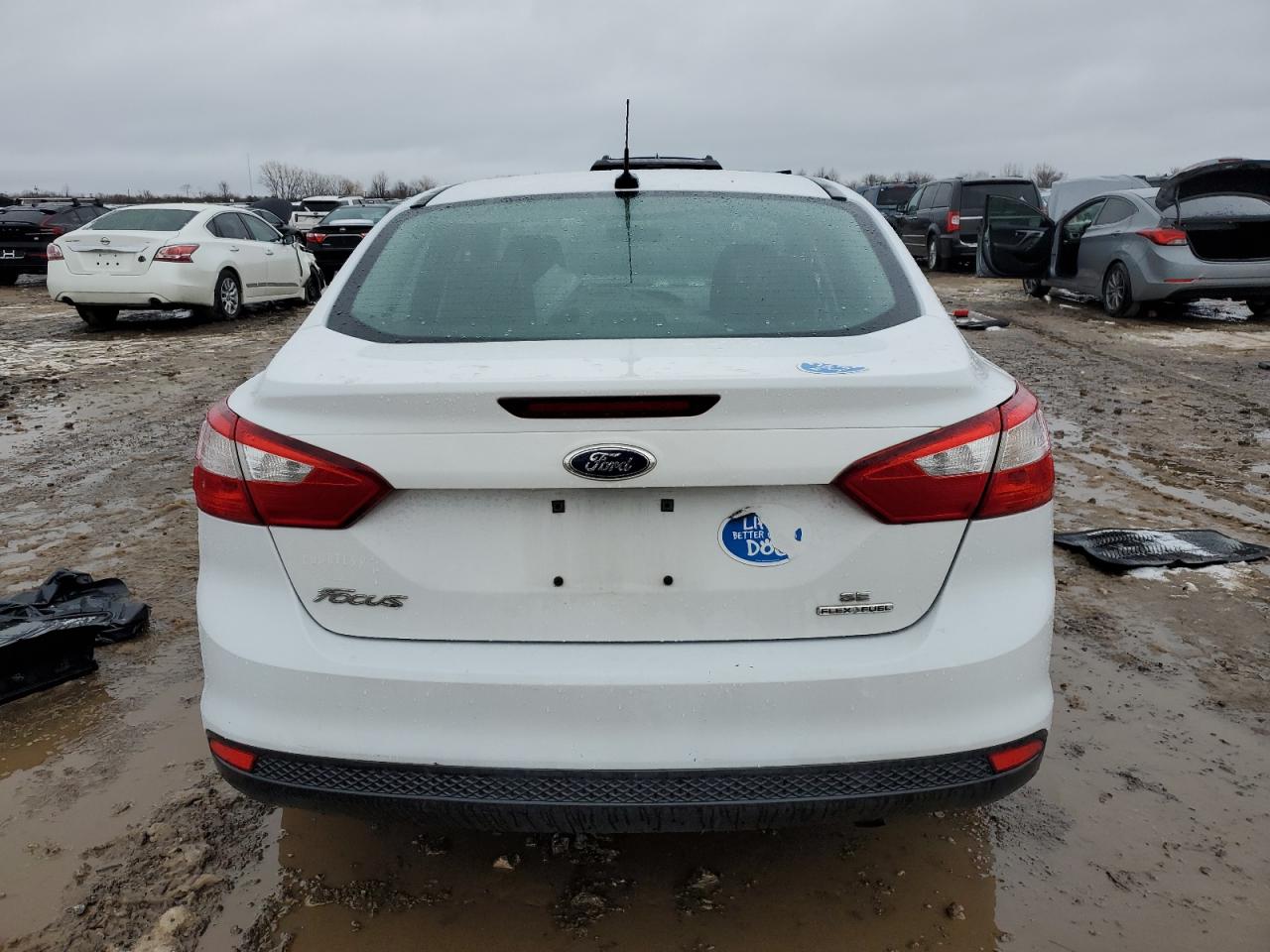 VIN 1FADP3F21EL234697 2014 FORD FOCUS no.6