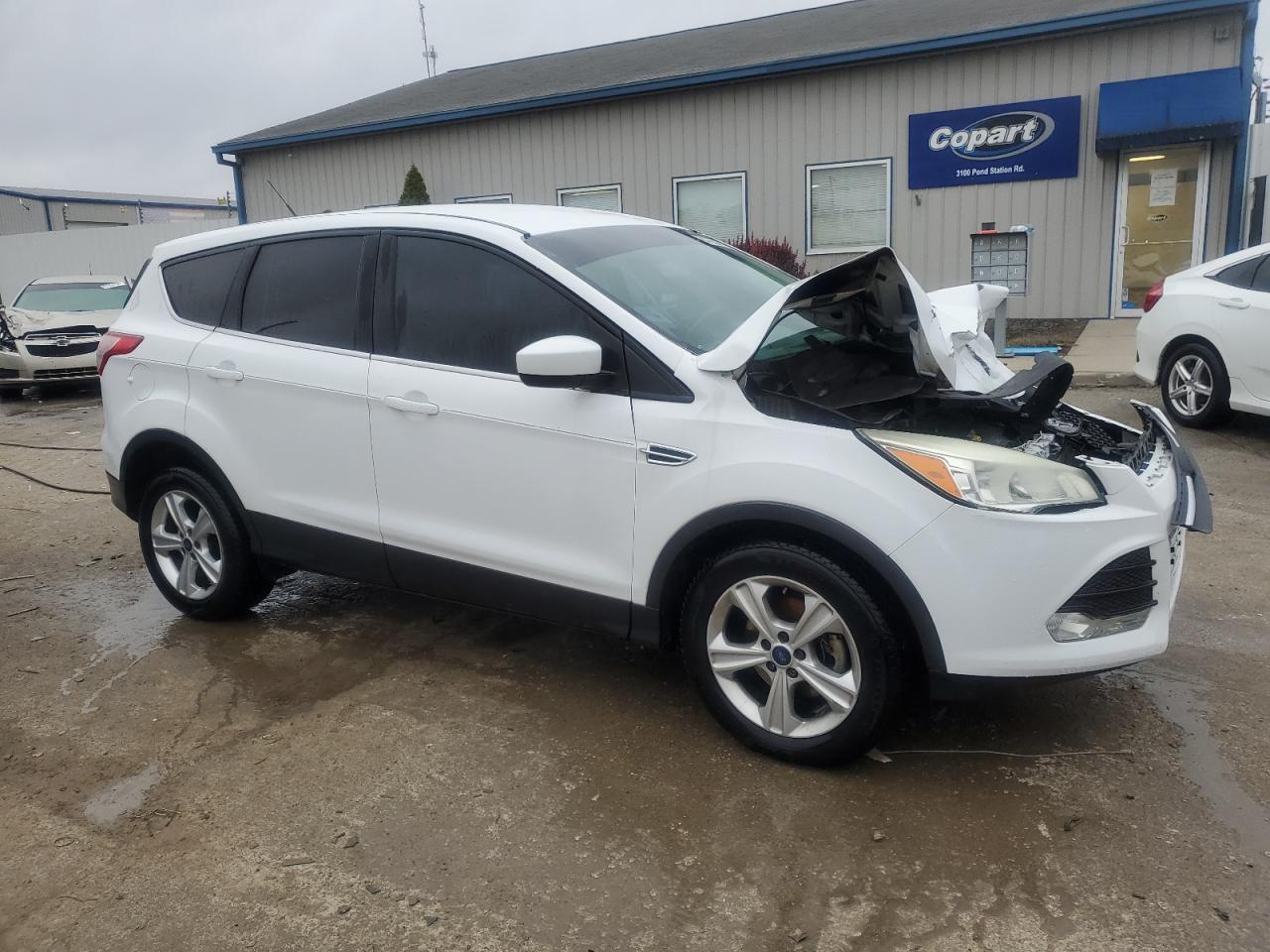 VIN 1FMCU0GX4EUD98605 2014 FORD ESCAPE no.4