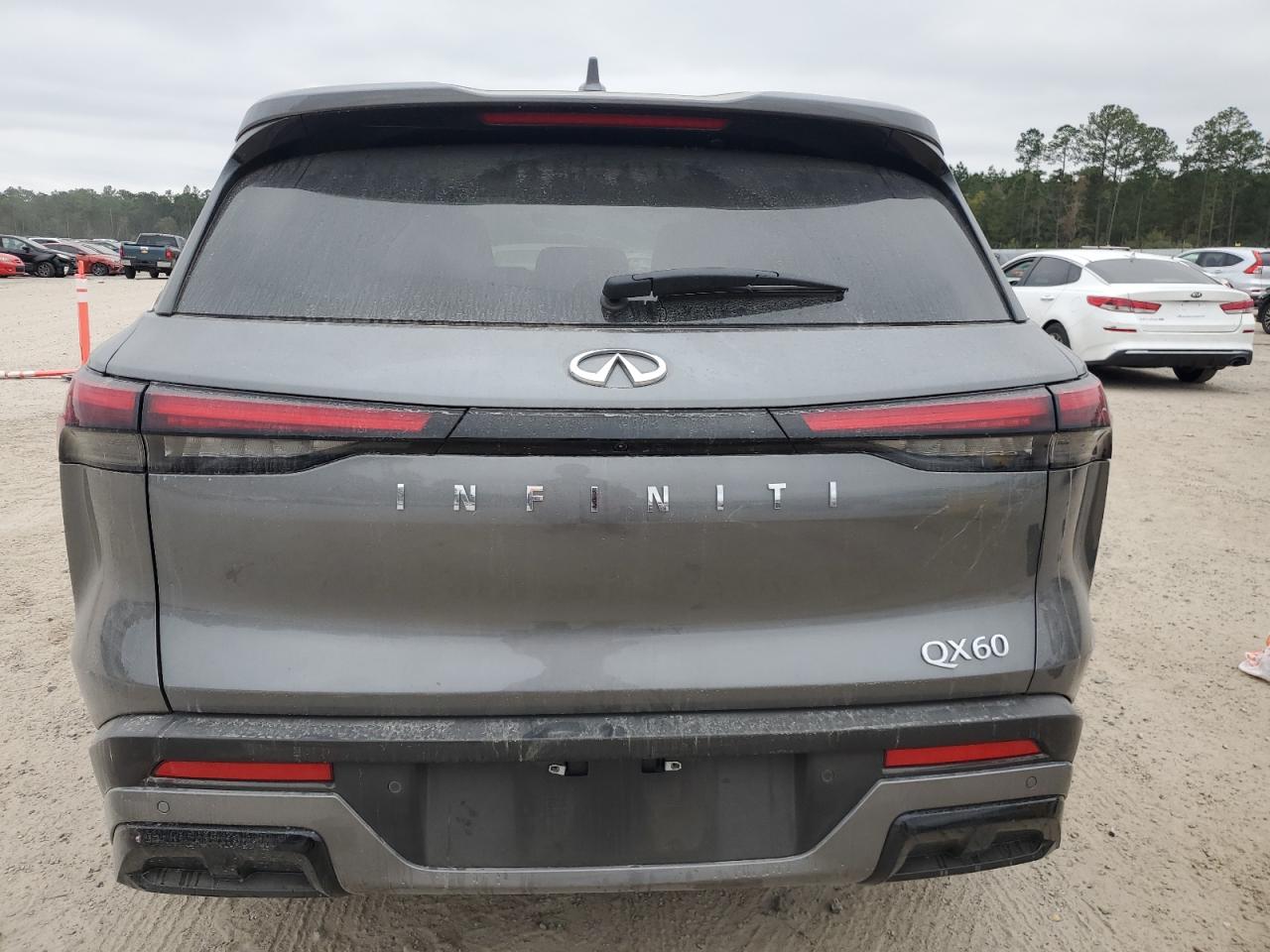 2024 Infiniti QX60 - Image 6
