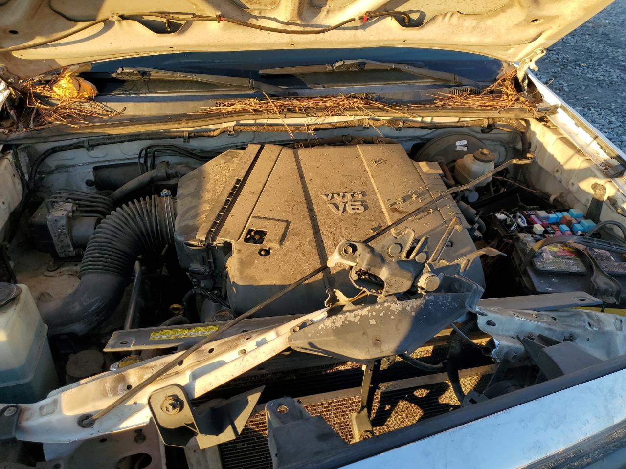 2010 Toyota Tacoma - Image 11