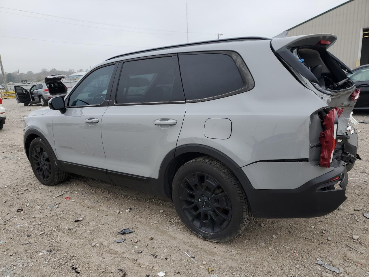 2022 Kia Telluride Sx VIN: 5XYP5DHC5NG233623 Lot: 80169394