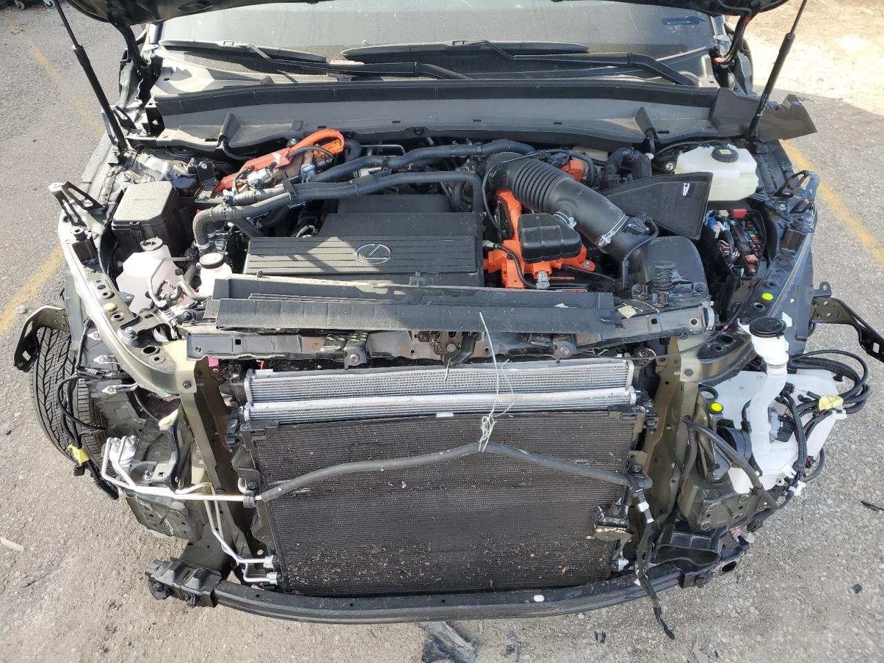 2024 Lexus Tx 550H+ Luxury VIN: 5TDACAC60RS000365 Lot: 79762074