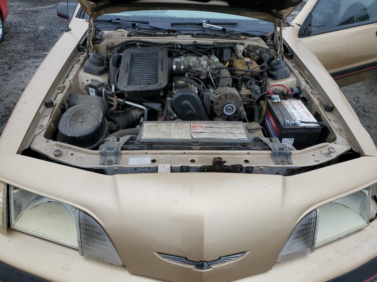 1987 Ford Thunderbird VIN: 1FABP64W7HH137025 Lot: 80162264