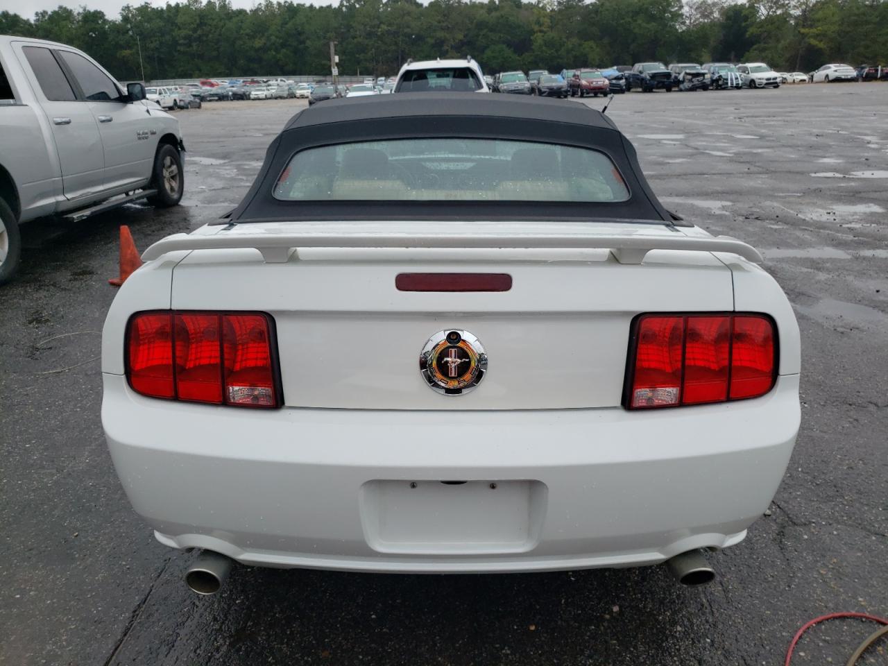 2006 Ford Mustang VIN: 1ZVFT84NX65106146 Lot: 77697334