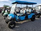 2024 Bint Golfcart de vânzare în Riverview, FL - Water/Flood