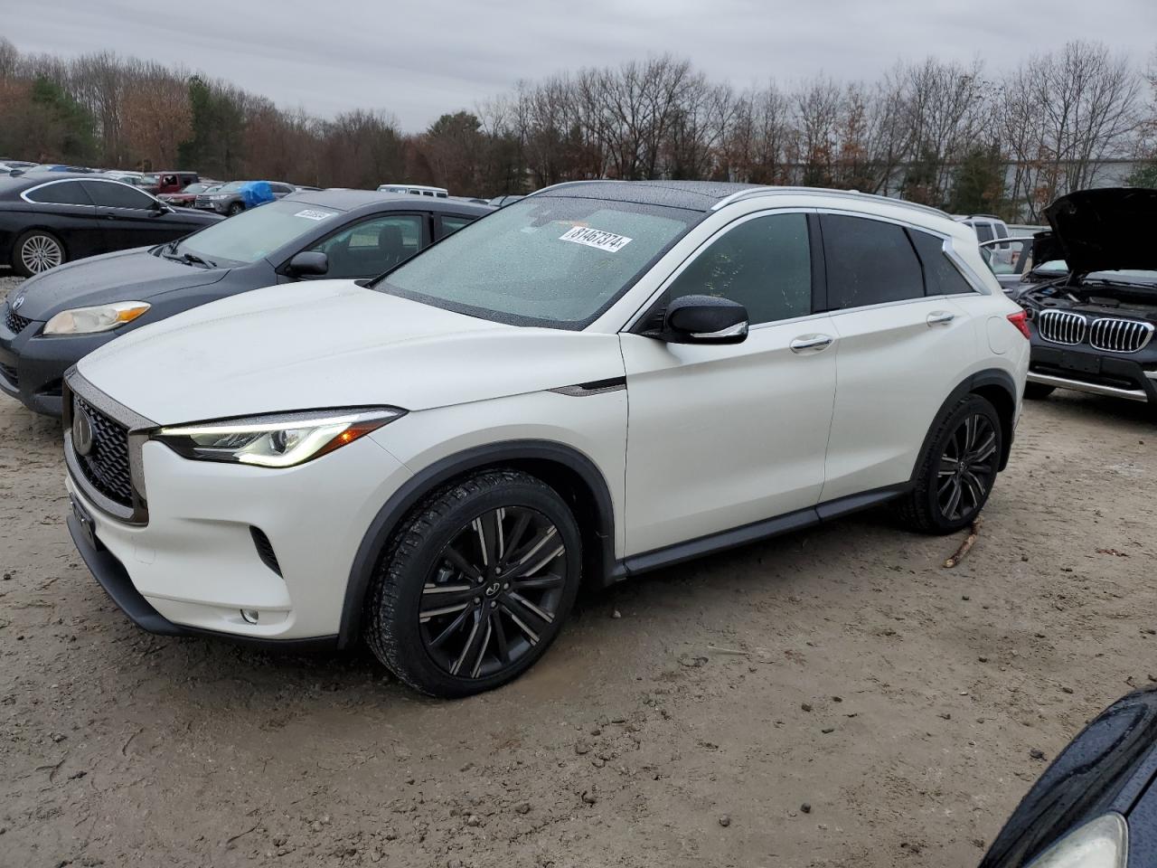 2021 Infiniti QX50 - Image 1
