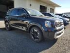 2024 Kia Telluride S for Sale in Orlando, FL - Water/Flood