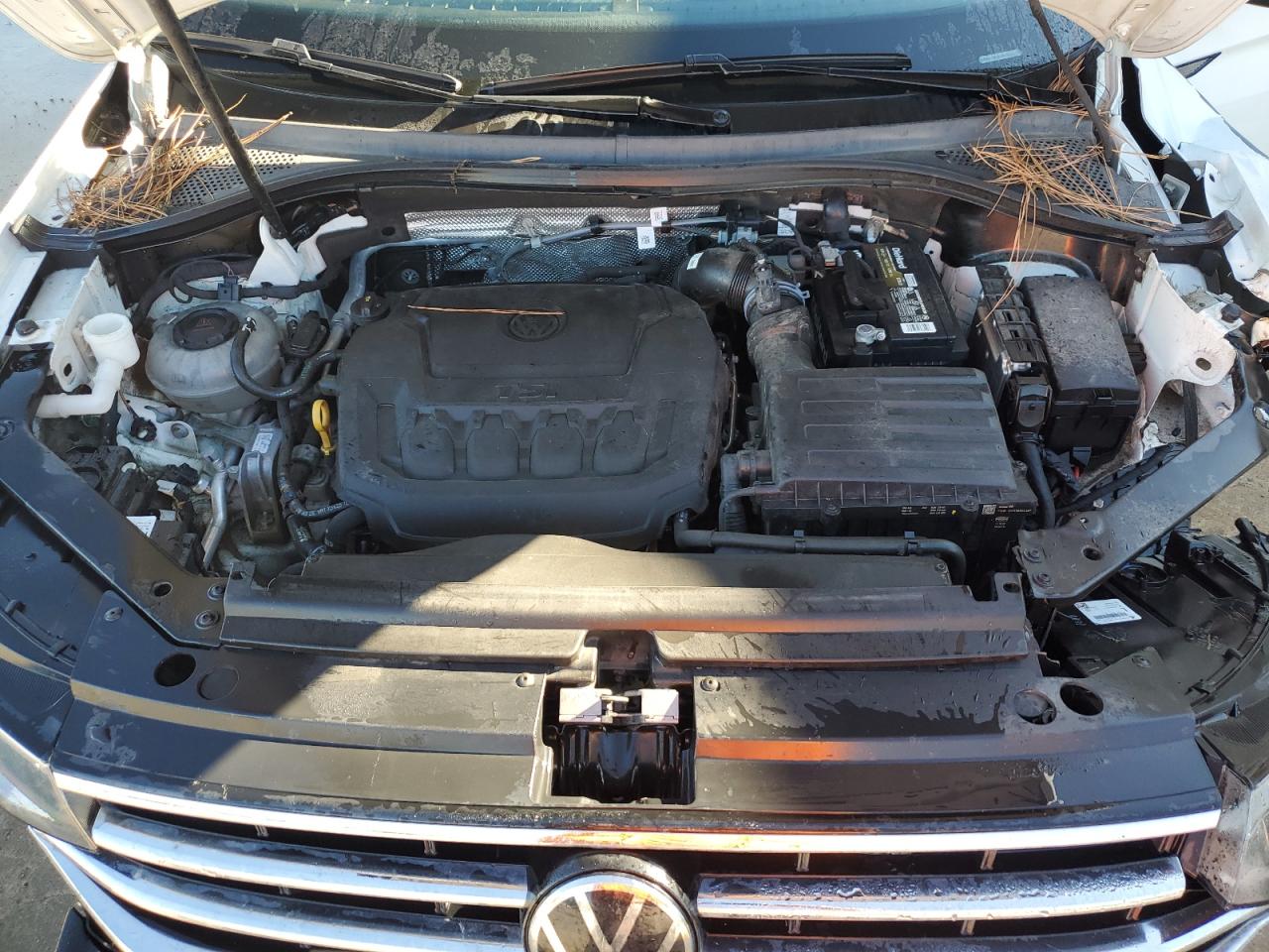 2023 Volkswagen Tiguan Se VIN: 3VVMB7AX8PM020859 Lot: 79906204