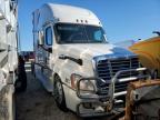 2016 Freightliner Cascadia 125  for Sale in Columbia, MO - Minor Dent/Scratches