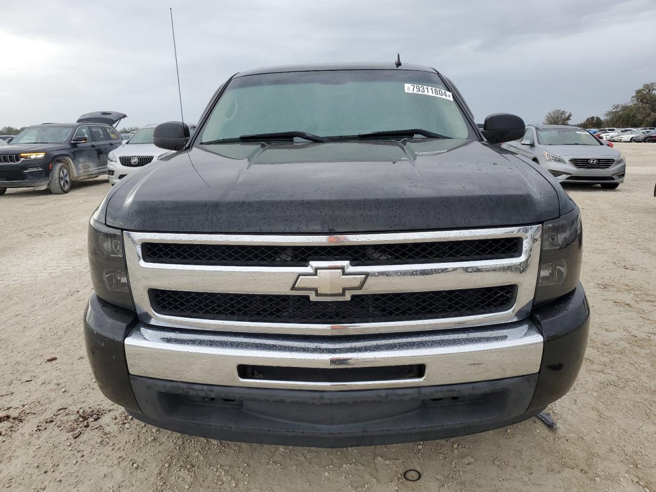 2009 Chevrolet Silverado C1500 VIN: 3GCEC13C29G255346 Lot: 79311804