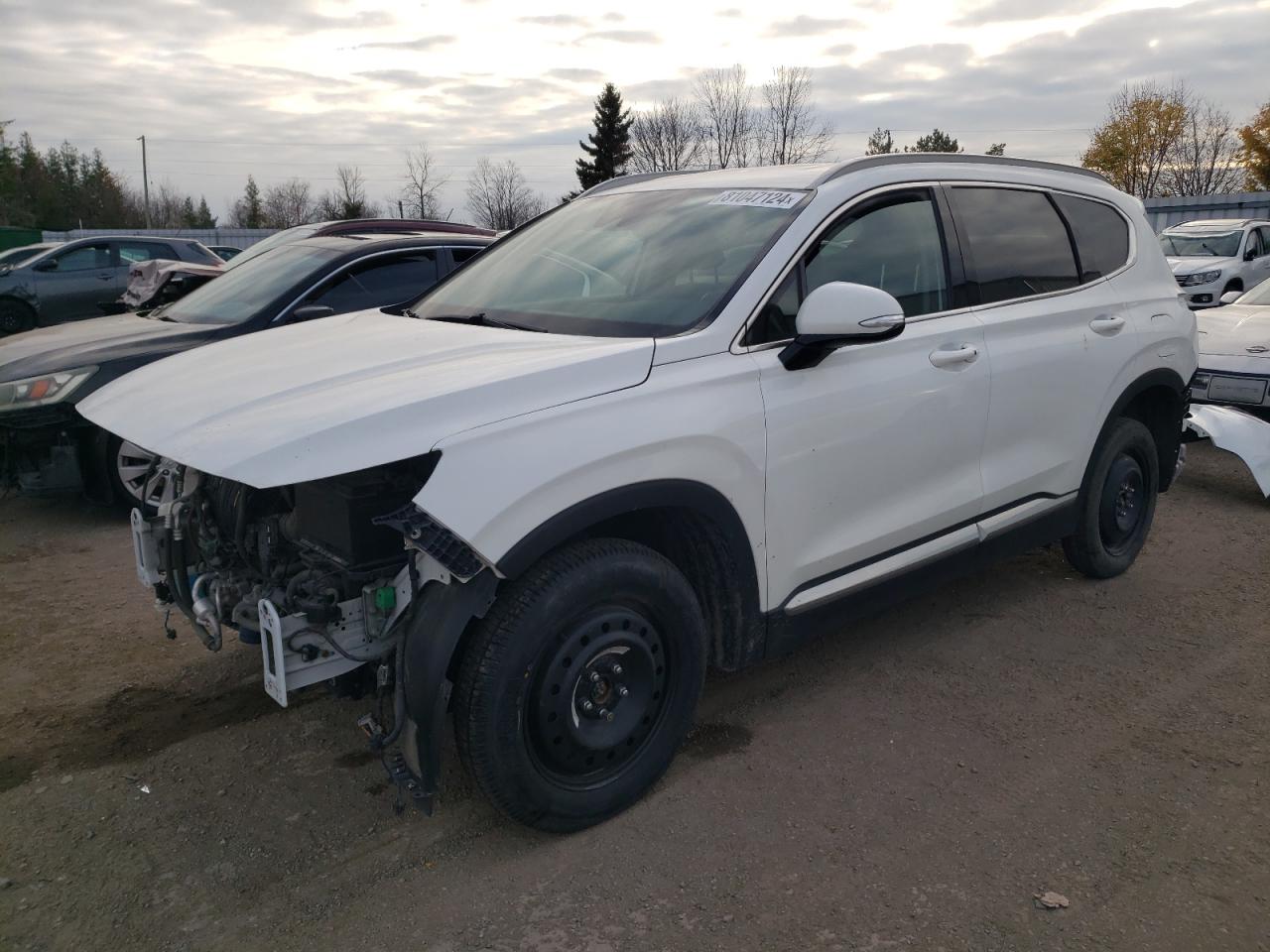 2019 Hyundai Santa Fe Sel de vânzare în Bowmanville, ON - Rear End