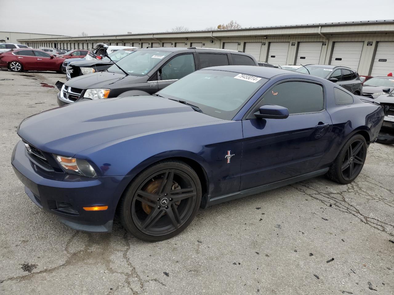 2011 Ford Mustang VIN: 1ZVBP8AM9B5151684 Lot: 79455014