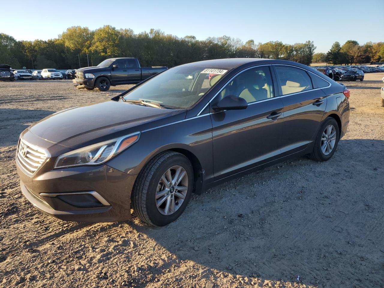 2016 Hyundai Sonata Se VIN: 5NPE24AF9GH301986 Lot: 81141734