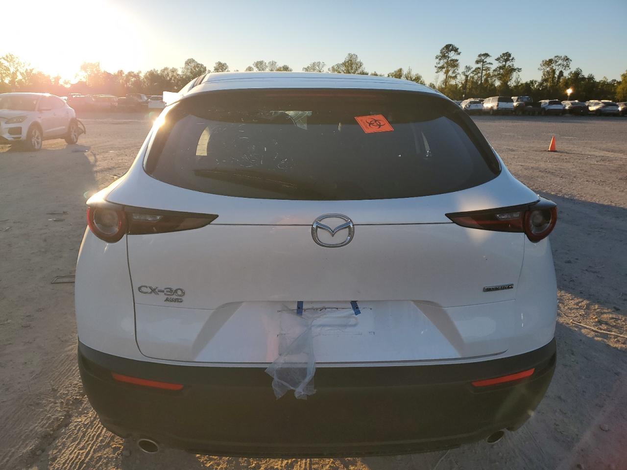 2025 Mazda Cx-30 VIN: 3MVDMBAM1SM751478 Lot: 41448045