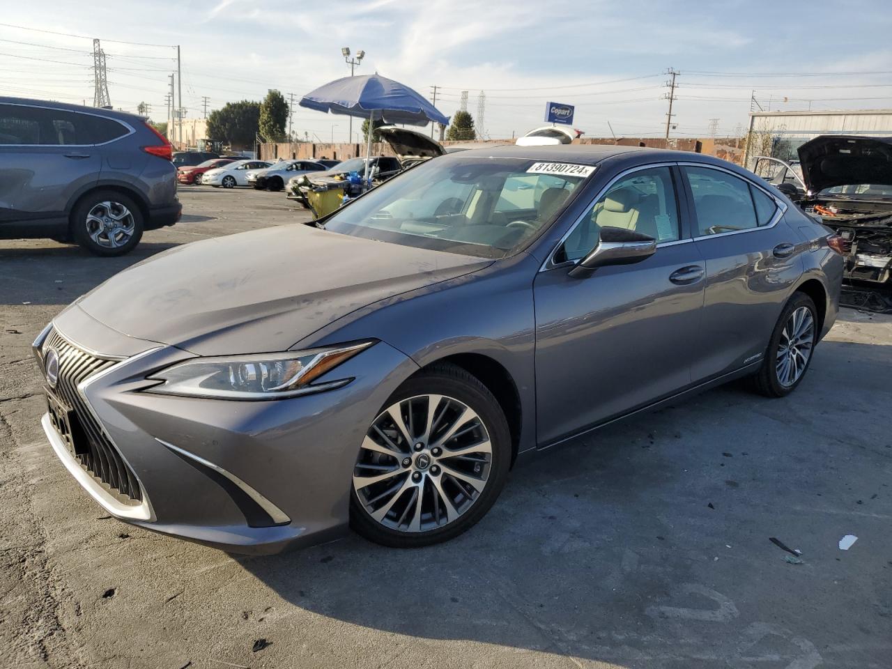 VIN 58ADA1C13MU002563 2021 LEXUS ES300 no.1