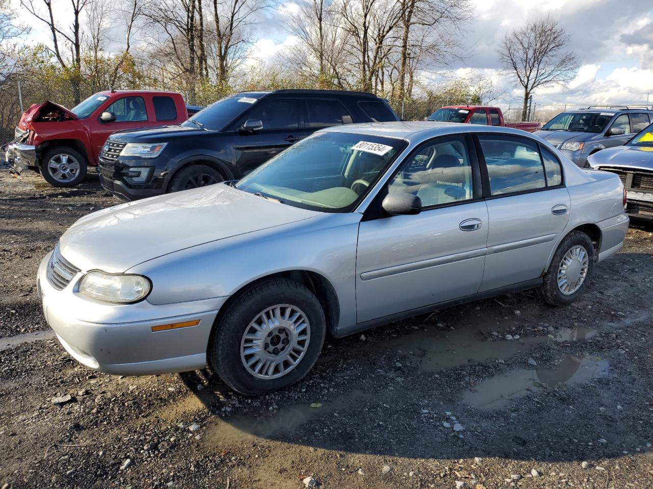 2004 Chevrolet Classic VIN: 1G1ND52F54M535700 Lot: 80115354