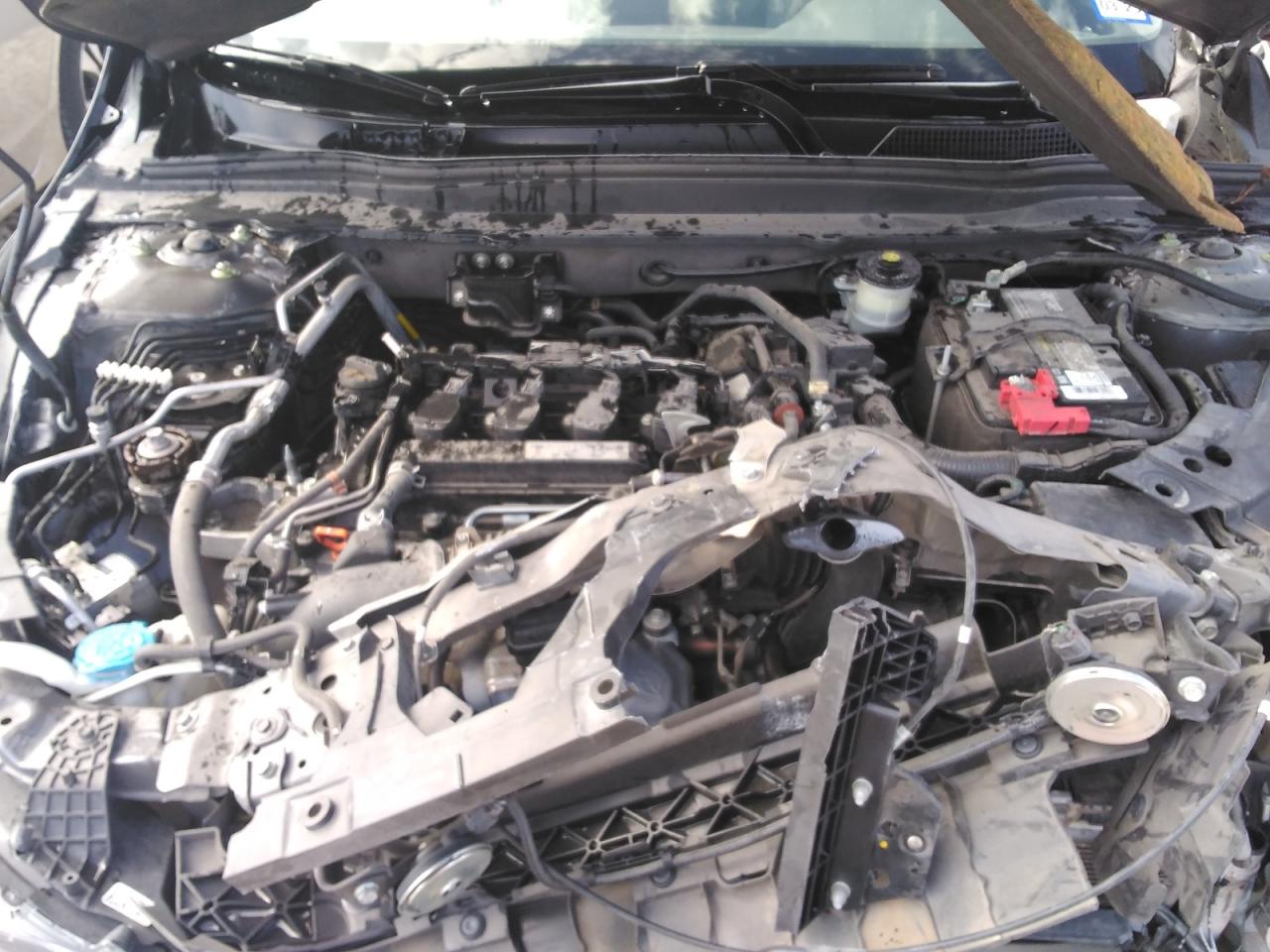 2019 Honda Accord - Image 13