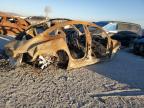 2022 Tesla Model 3  for Sale in San Diego, CA - Burn