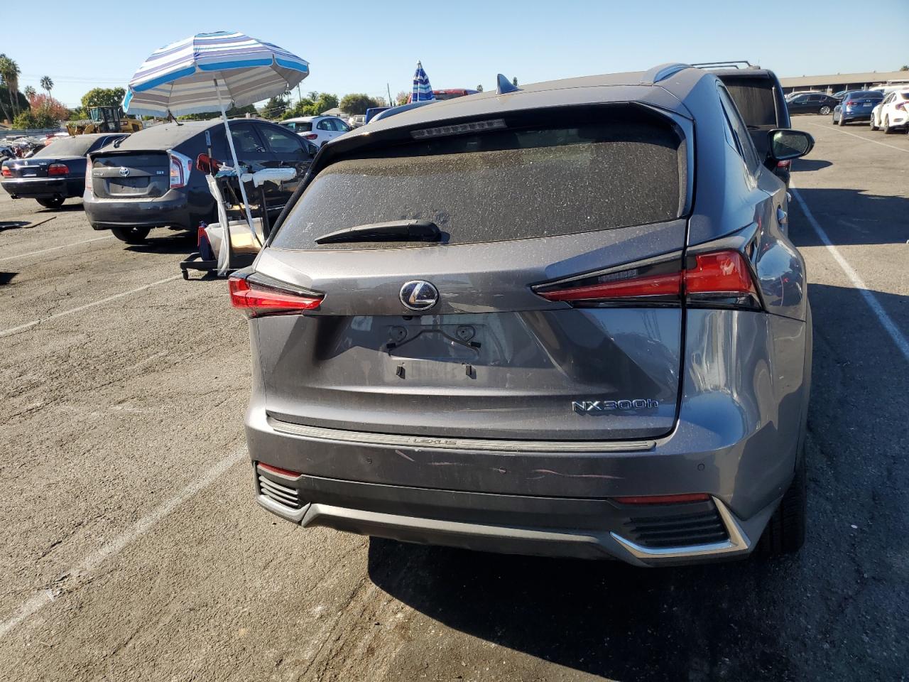 2019 Lexus Nx 300H VIN: JTJBJRBZ3K2111233 Lot: 81114854