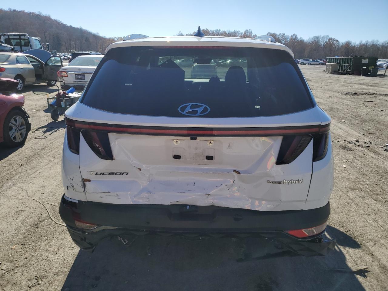 2023 Hyundai Tucson Limited VIN: KM8JECA17PU120309 Lot: 80025314