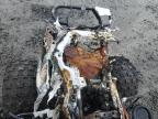 Eugene, OR에서 판매 중인 2004 Suzuki Lt-Z400  - Burn