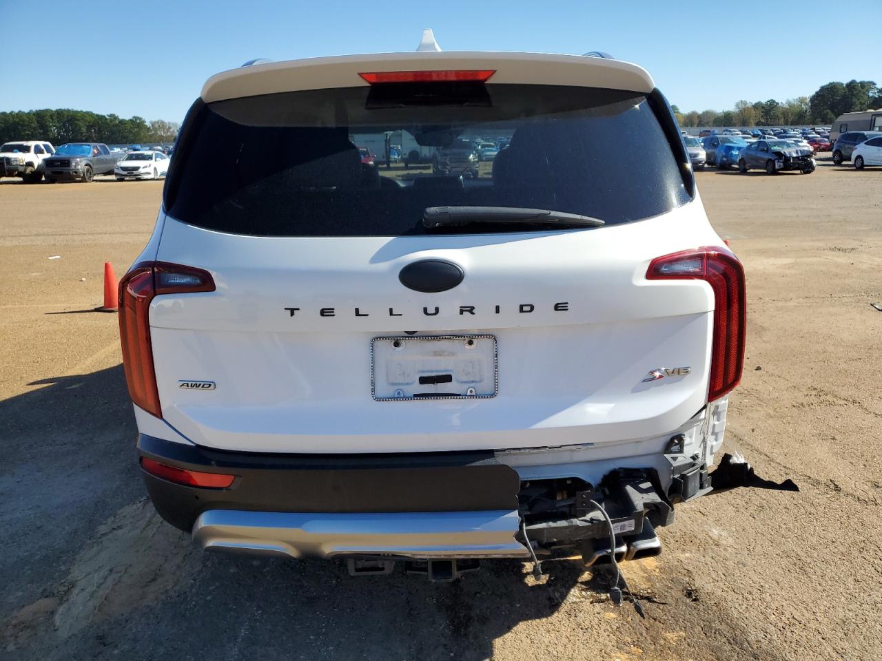 2020 Kia Telluride S VIN: 5XYP6DHC4LG091498 Lot: 81610614