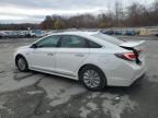 2016 Hyundai Sonata Hybrid for Sale in Albany, NY - Rear End