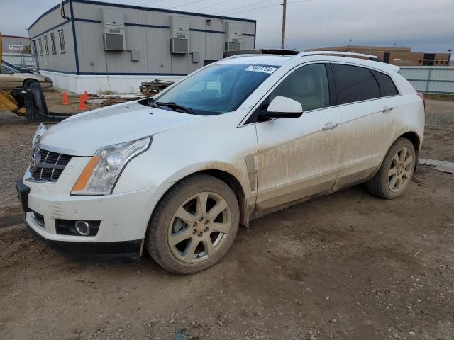 2011 Cadillac Srx Performance Collection