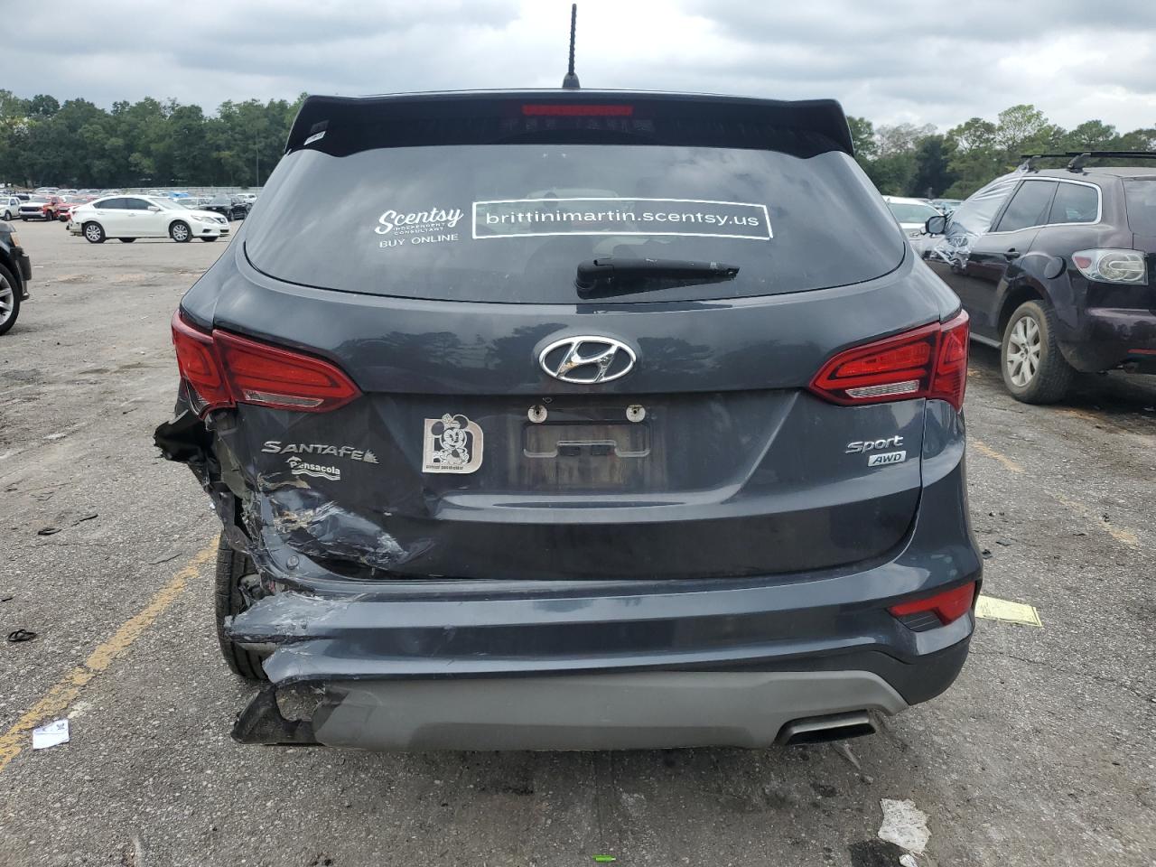 VIN 5XYZTDLB4JG562045 2018 HYUNDAI SANTA FE no.6