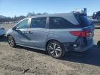 2023 Honda Odyssey Touring na sprzedaż w Assonet, MA - Side