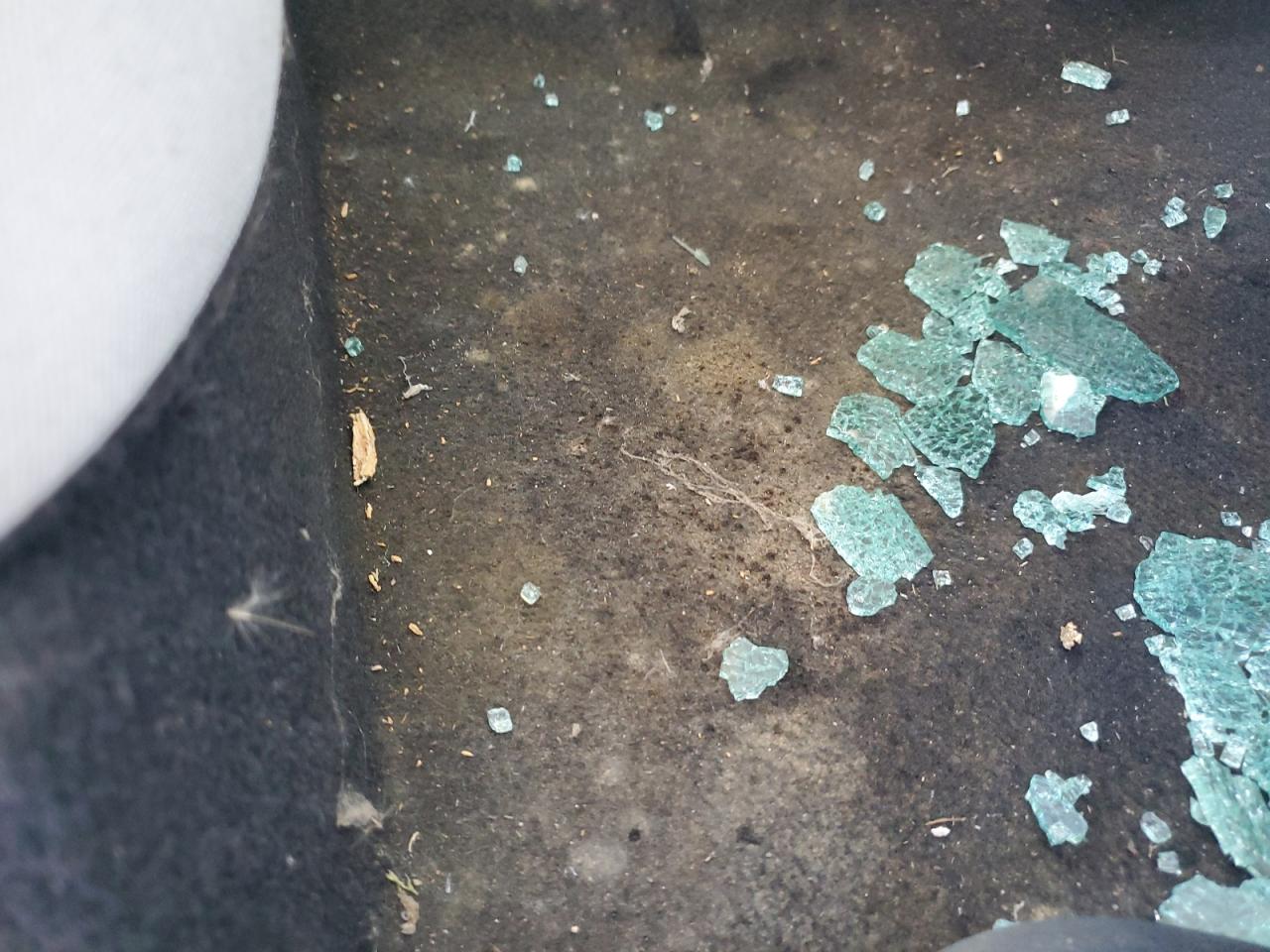 2021 Toyota Corolla Le VIN: 5YFEPMAE1MP220066 Lot: 79114614