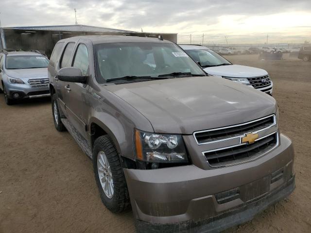  CHEVROLET TAHOE 2012 Gold