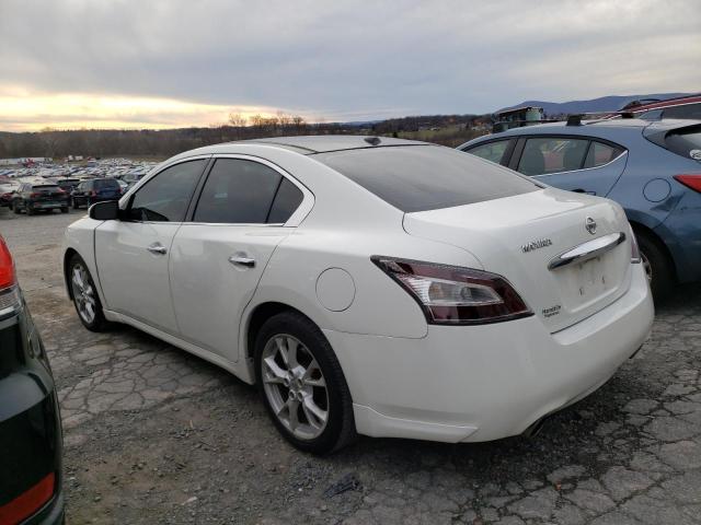  NISSAN MAXIMA 2012 Білий