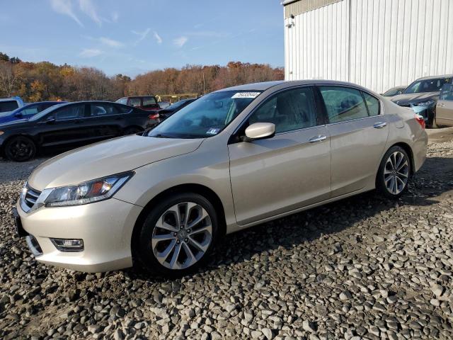  HONDA ACCORD 2013 tan