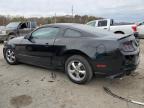 2013 Ford Mustang  for Sale in Louisville, KY - Front End